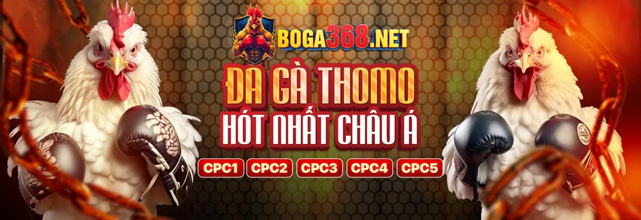 Thưởng Chào Mừng Winbet