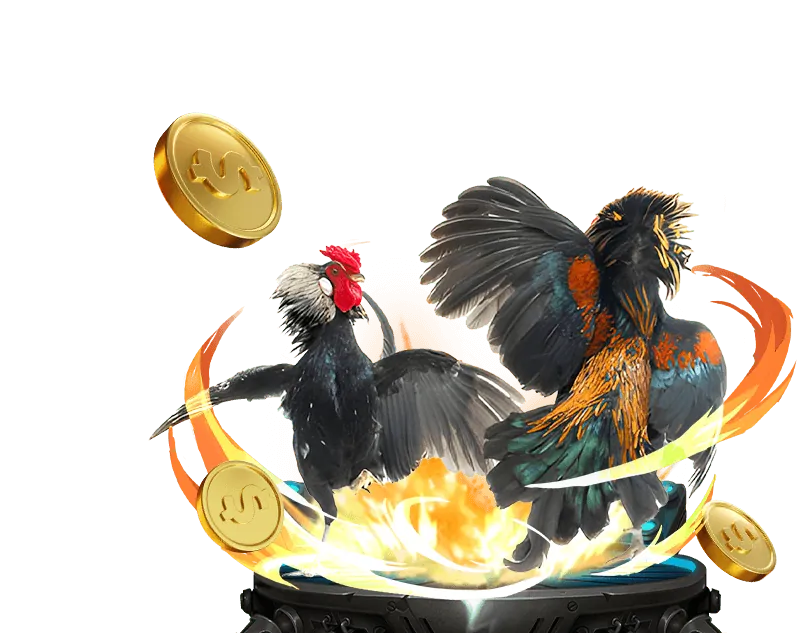 Cách winbet casino thu thập thông tin người dùng