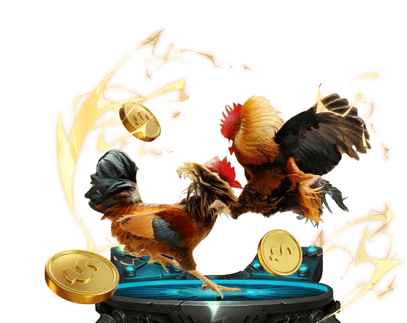 Tổng quan về đá gà trực tuyến tại Winbet Casino
